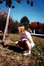 Me, watching goats in Massachusetts.